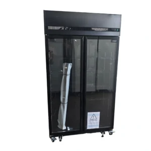 Armoire vitrine VSE2P